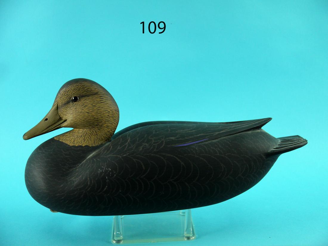 BLACK DUCK, H. MILLER (1 of 4)