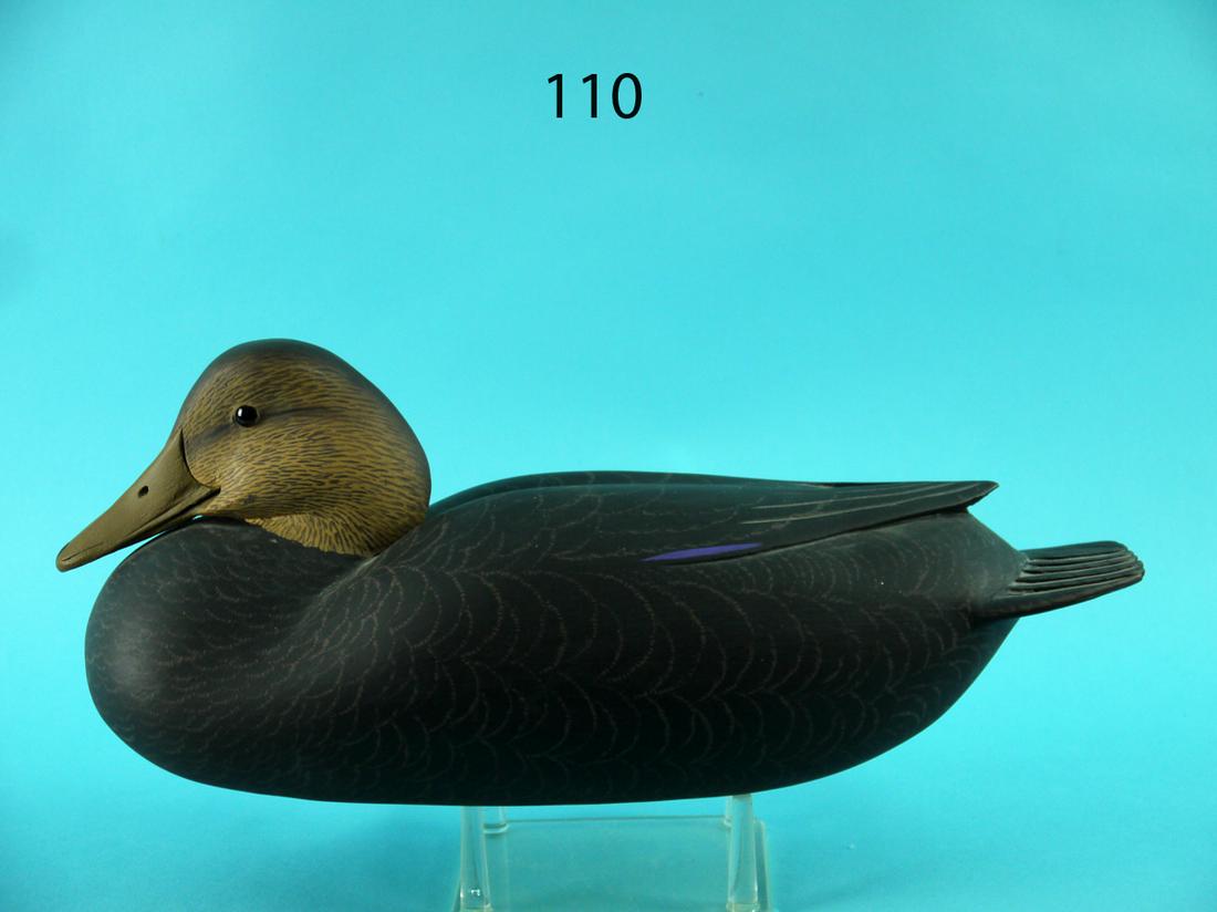 BLACK DUCK, H. MILLER (1 of 4)