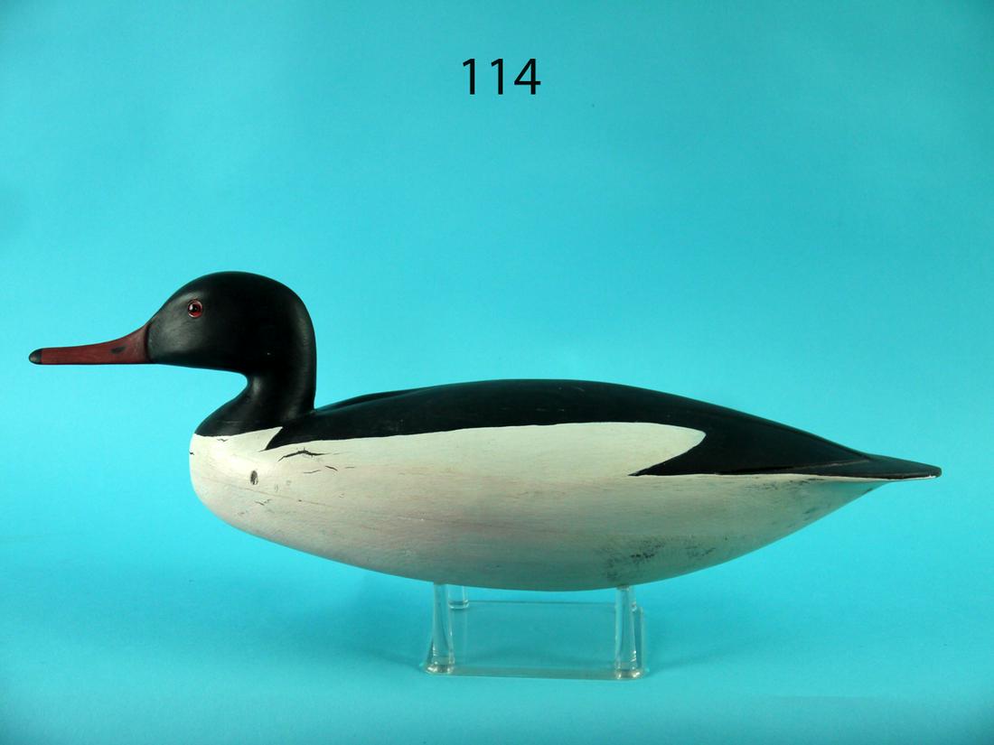 AMERICAN MERGANSER DRAKE, H. CONKLIN (1 of 4)