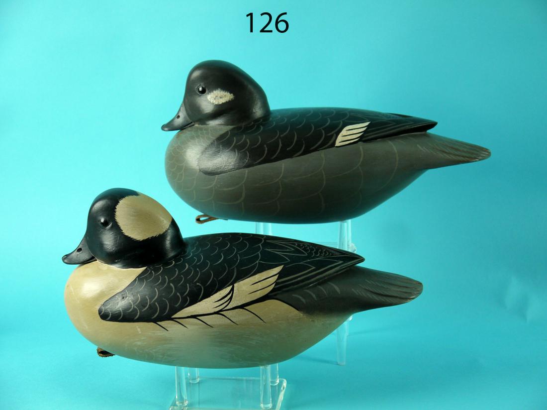 BUFFLEHEAD PAIR, C. FENNIMORE (1 of 4)