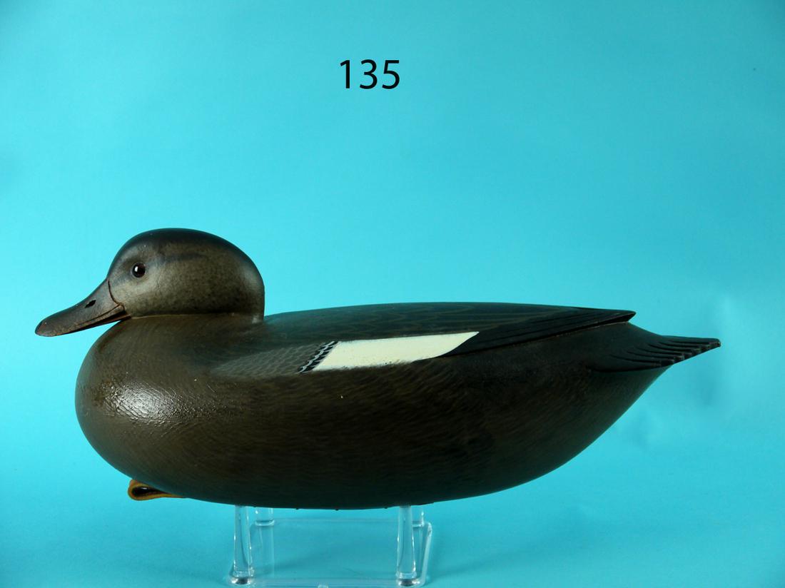 GADWALL HEN, F.C. BROWN, JR. (1 of 4)