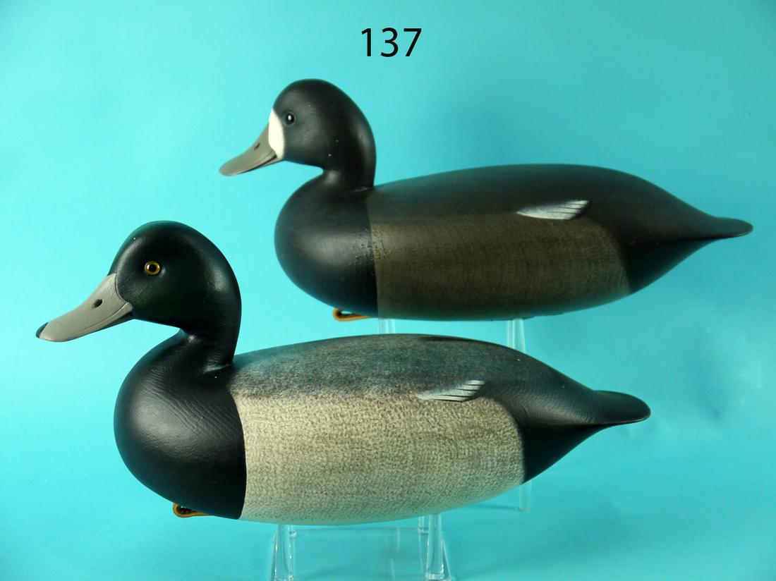 BLUEBILL PAIR, F.C. BROWN, JR. (1 of 4)