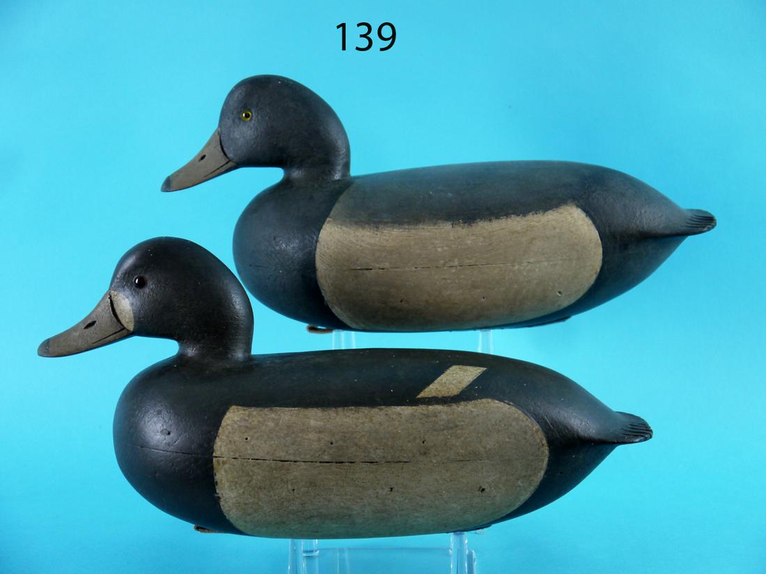 BLUEBILL PAIR, F.C. BROWN, JR. (1 of 4)