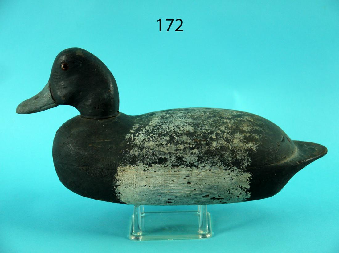 BLUEBILL DRAKE, BLACK FAMILY ATTRIB. (1 of 4)