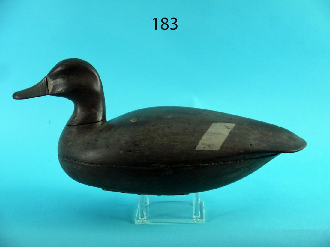 BLUEBILL HEN, W. HALL (1 of 4)