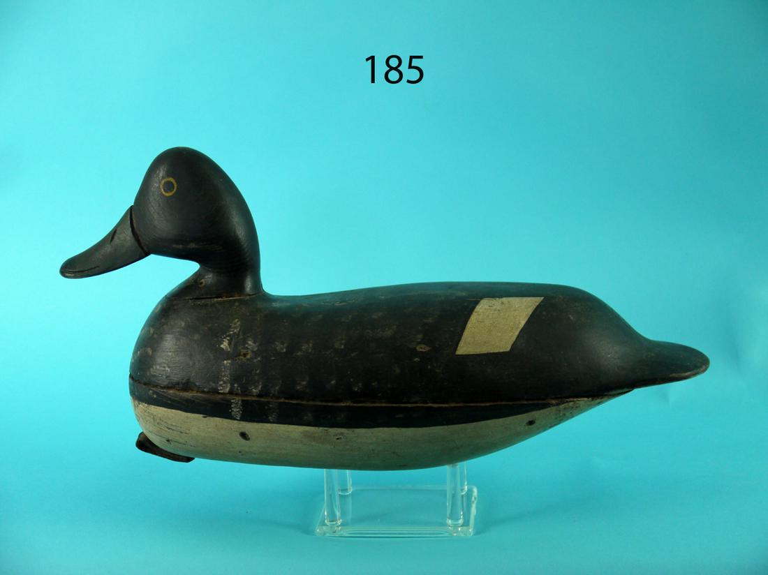 BLUEBILL DRAKE, M. KEARS (1 of 4)