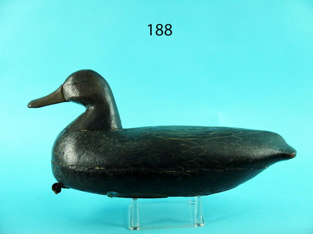 BLACK DUCK, D. JESTER (1 of 4)