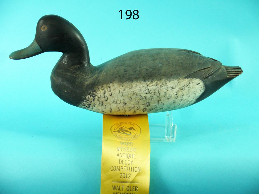 BLUEBILL DRAKE, C. BIRCH (1 of 4)