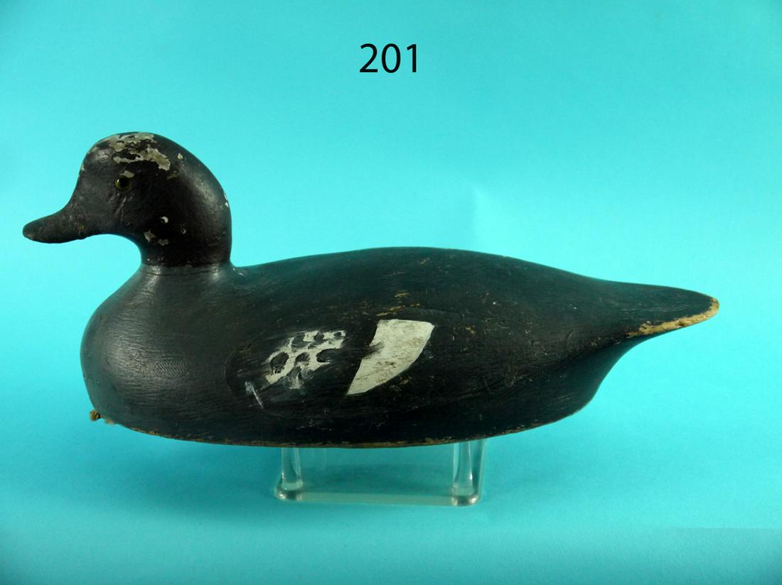 GOLDENEYE HEN, ST. CLAIR FLATS (1 of 4)