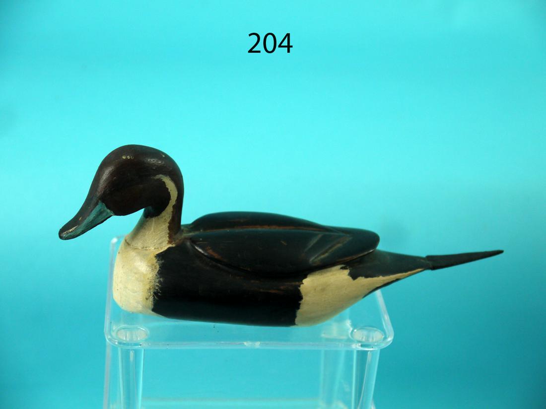 PINTAIL DRAKE, M. HANCOCK (1 of 3)