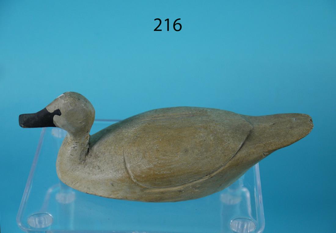 MINIATURE SWAN, UPPER BAY (1 of 4)