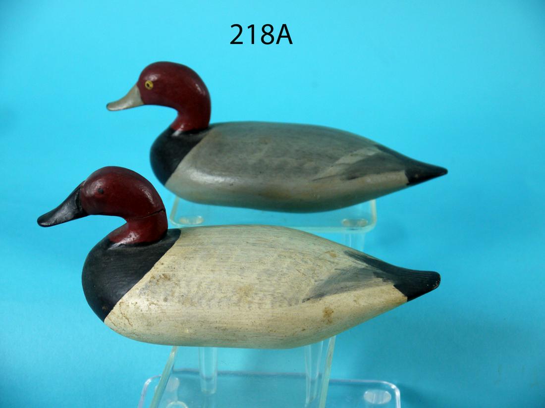 CANVASBACK DRAKE, REDHEAD DRAKE, UPPER BAY (1 of 4)