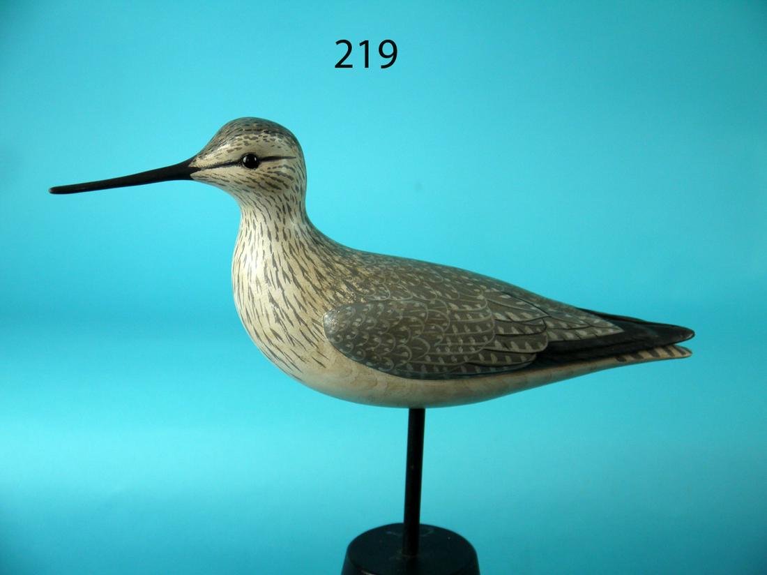 YELLOWLEG, M. SCHEEL (1 of 4)