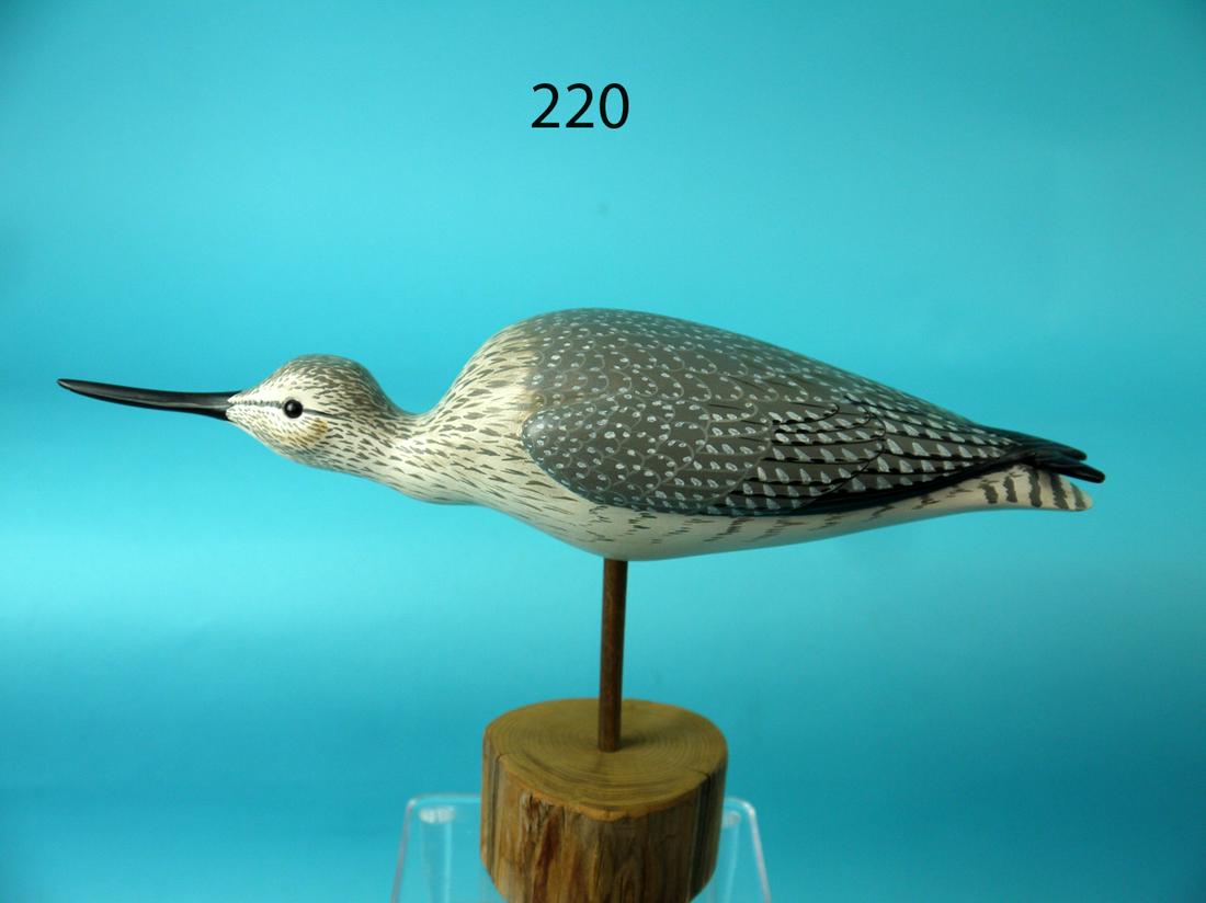 FEEDING YELLOWLEG, M. SCHEEL (1 of 3)