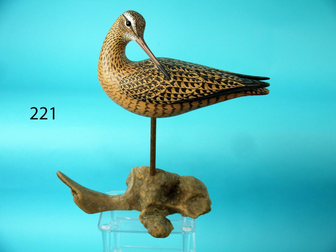 RED KNOT, M.K. SCHEEL (1 of 4)