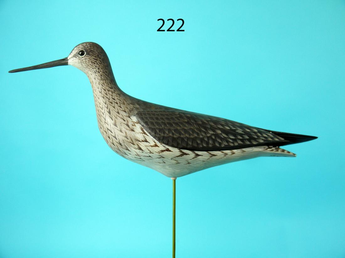 GREATER YELLOWLEG, D. RHODES (1 of 4)