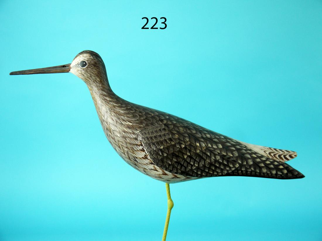 YELLOWLEG, D. RHODES (1 of 3)