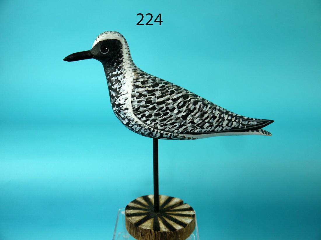 BLACK BREAST PLOVER, D. RHODES (1 of 4)