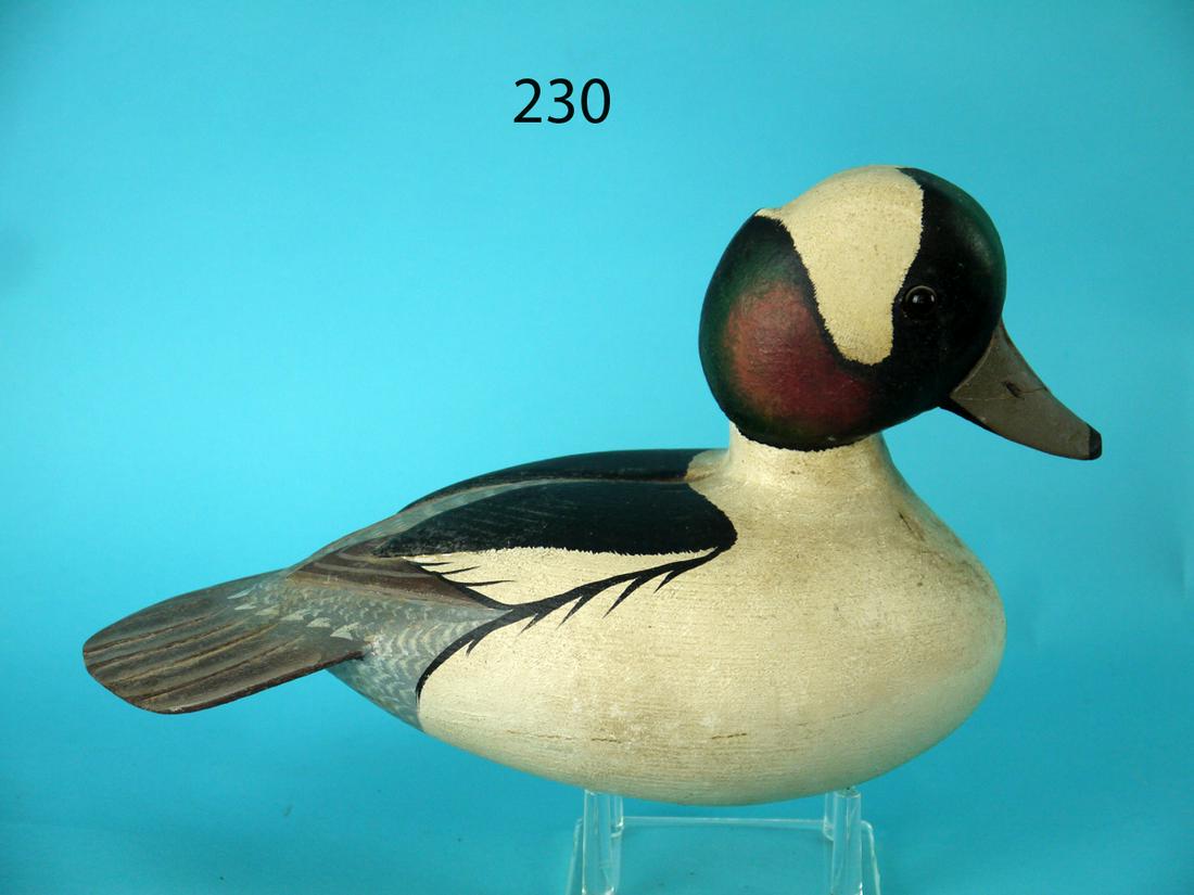 BUFFLEHEAD DRAKE, L. REINERI (1 of 4)