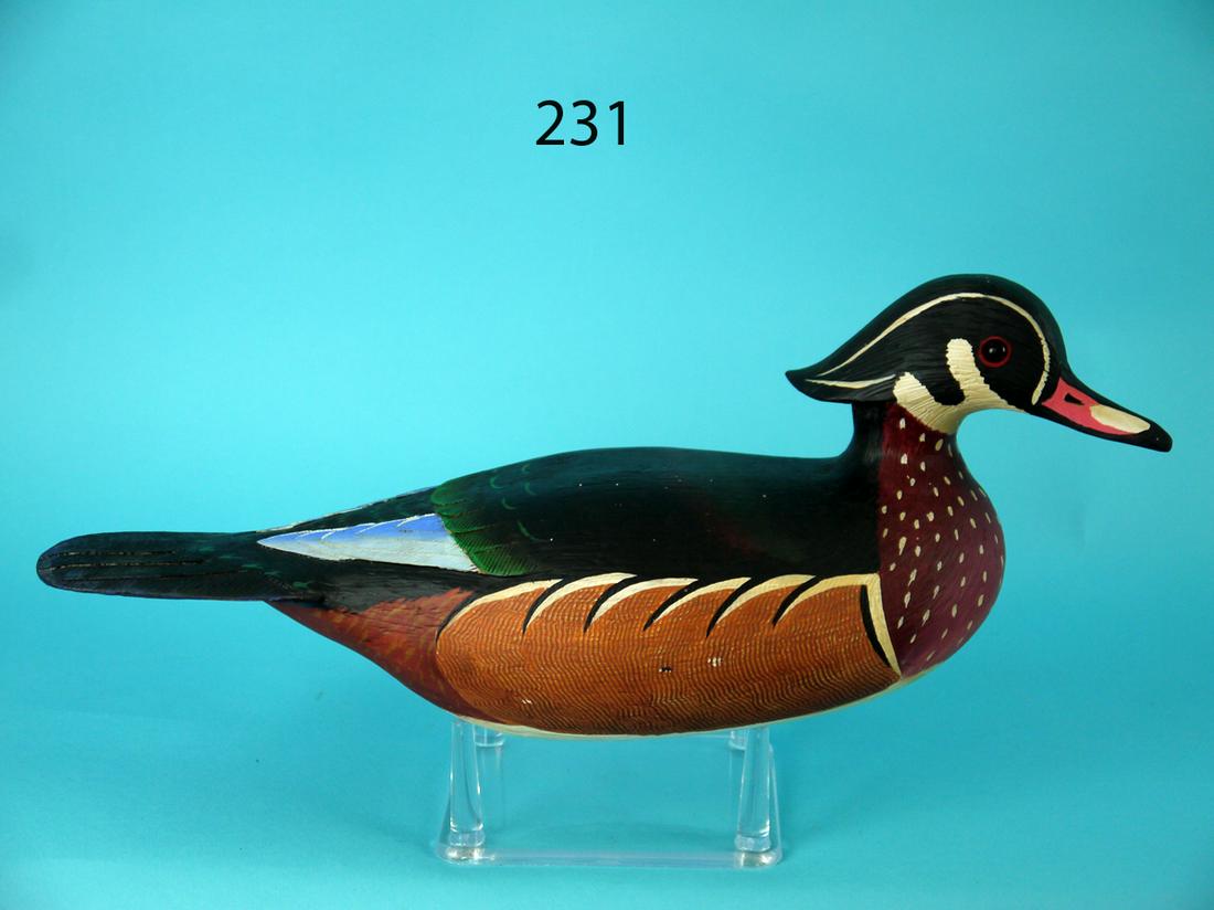 SWIMMING WOOD DUCK DRAKE, L.  REINERI (1 of 4)