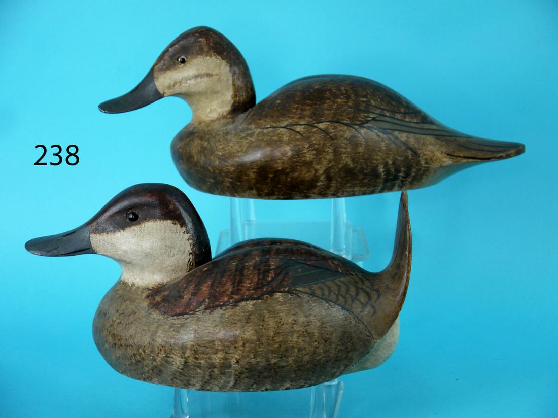 RUDDY DUCK PAIR, H. VAN DYCK (1 of 4)