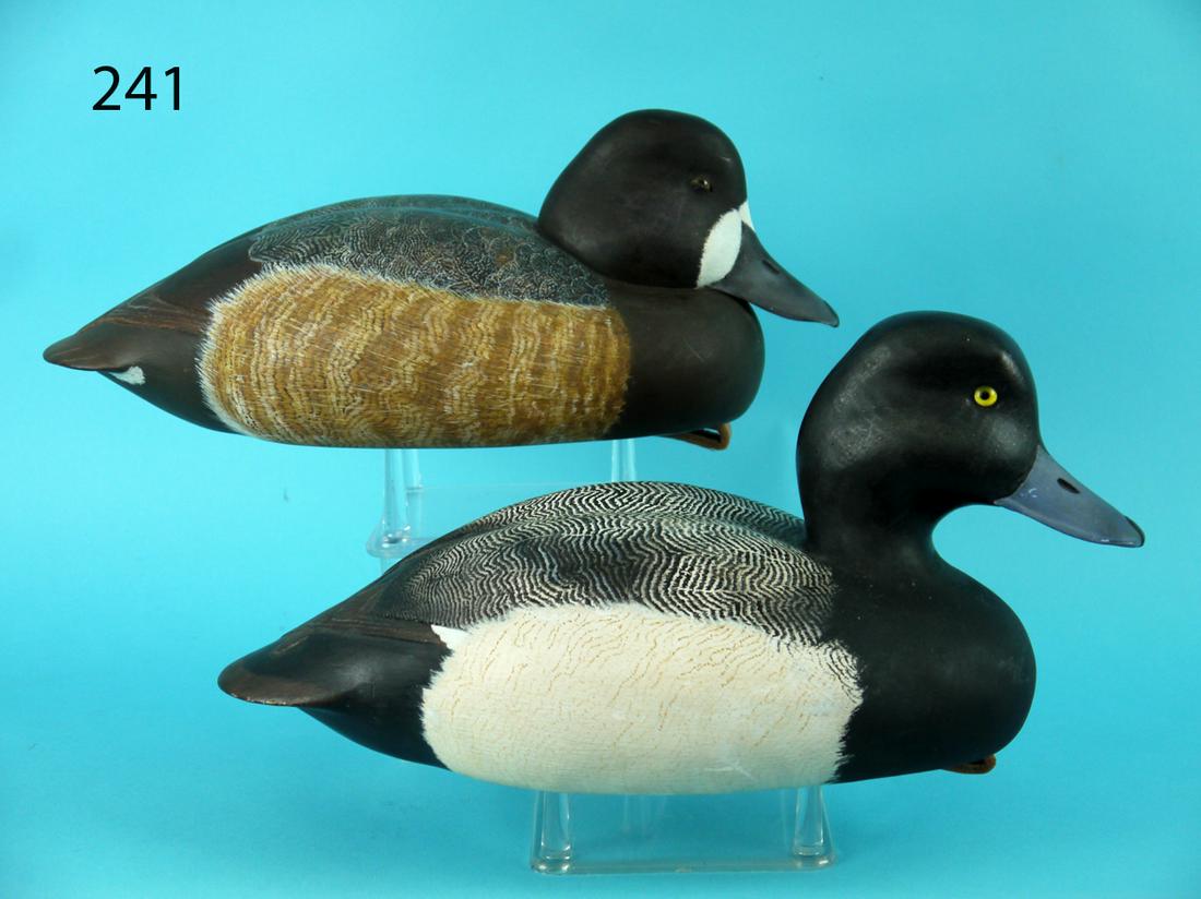 BLUEBILL PAIR, F. STIDHAM (1 of 4)