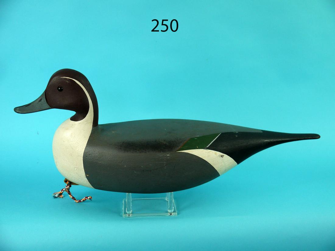 PINTAIL DRAKE, J. HAND (1 of 4)