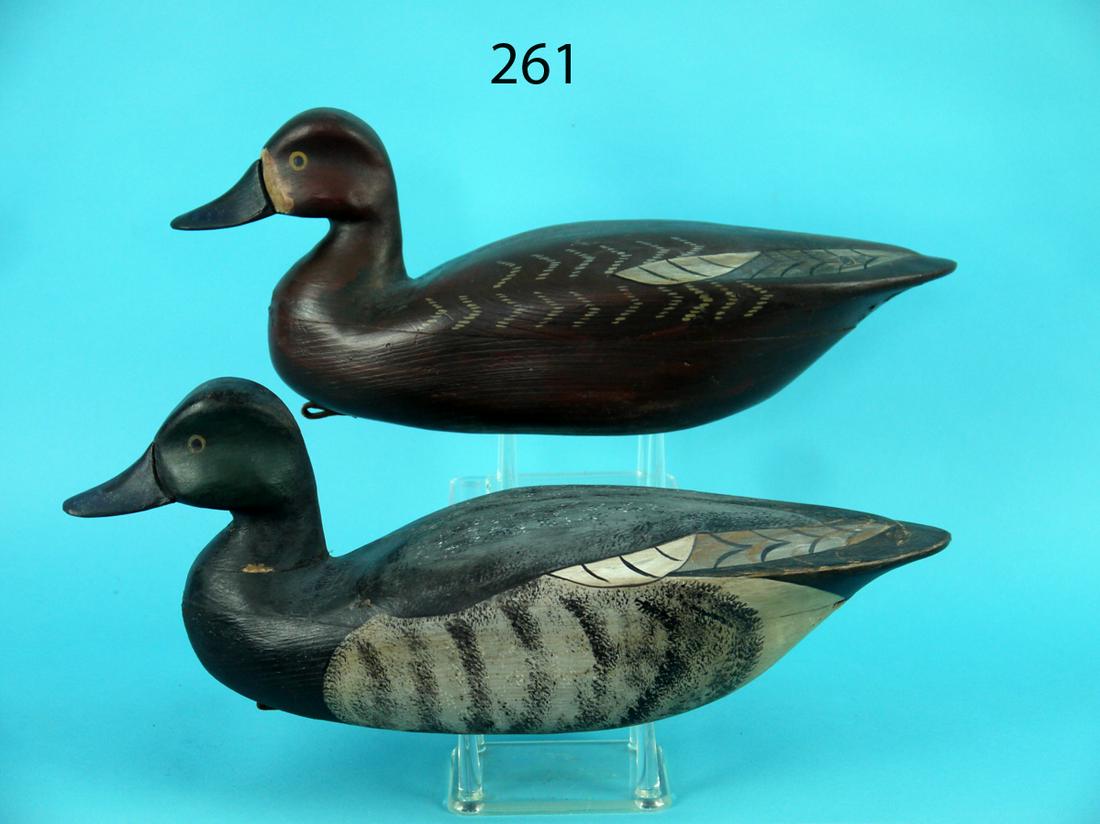 BLUEBILL PAIR, C. ALLSOPP (1 of 4)