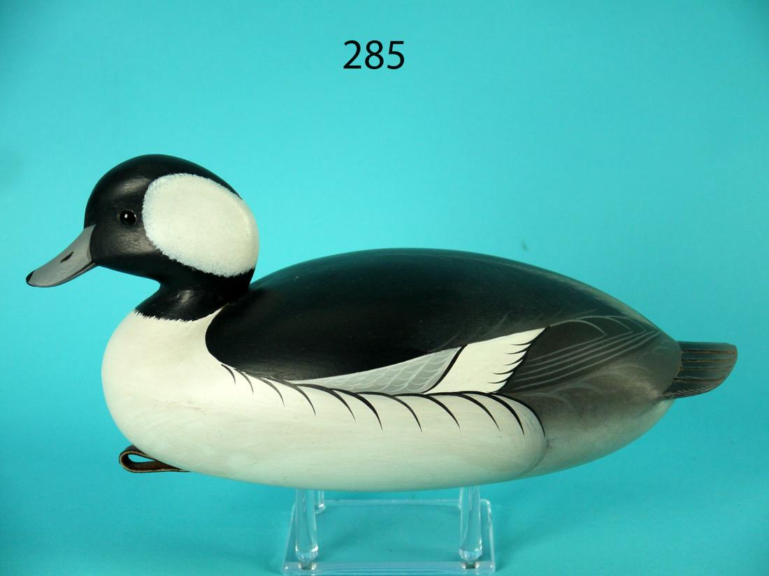 BUFFLEHEAD DRAKE, G. STRUNK (1 of 4)