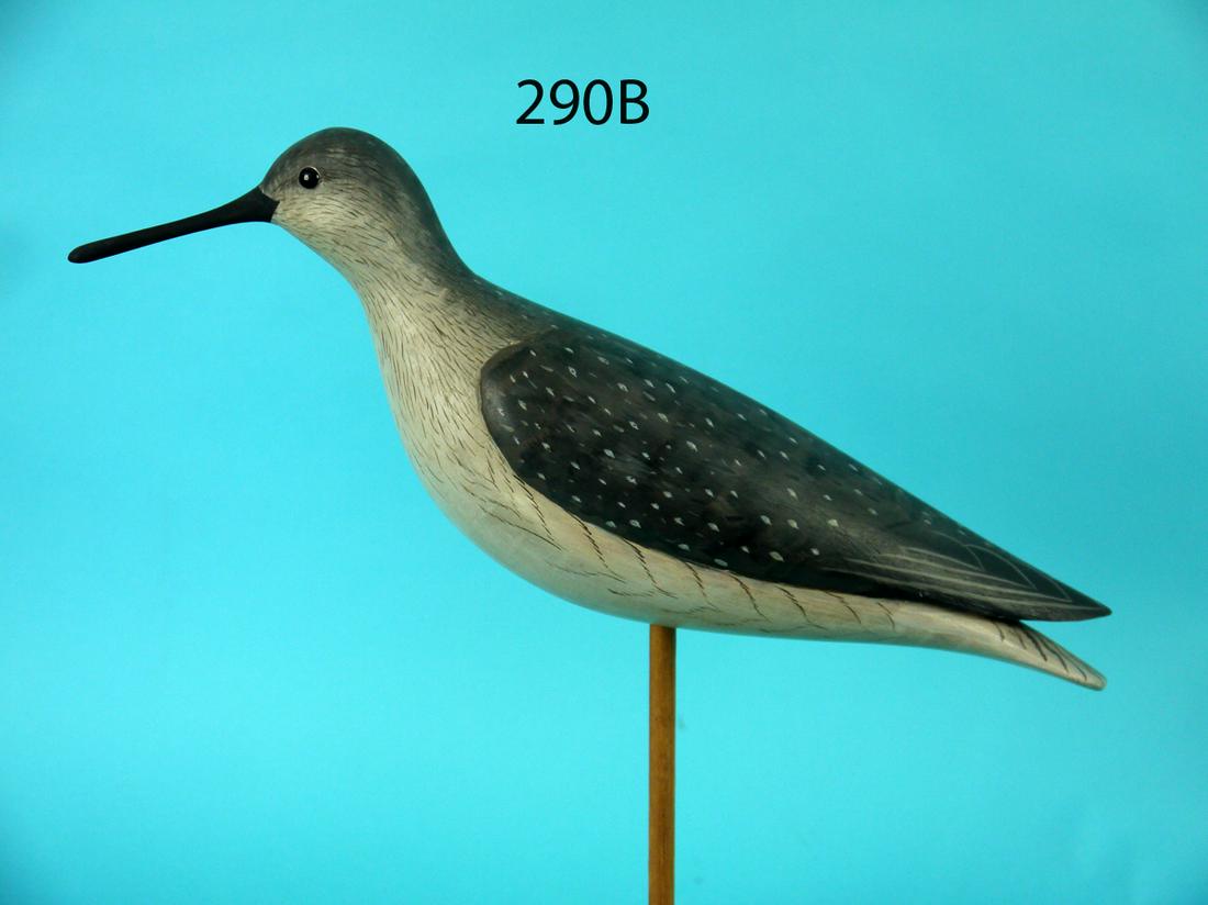 GREATER YELLOWLEG, G. STRUNK (1 of 4)