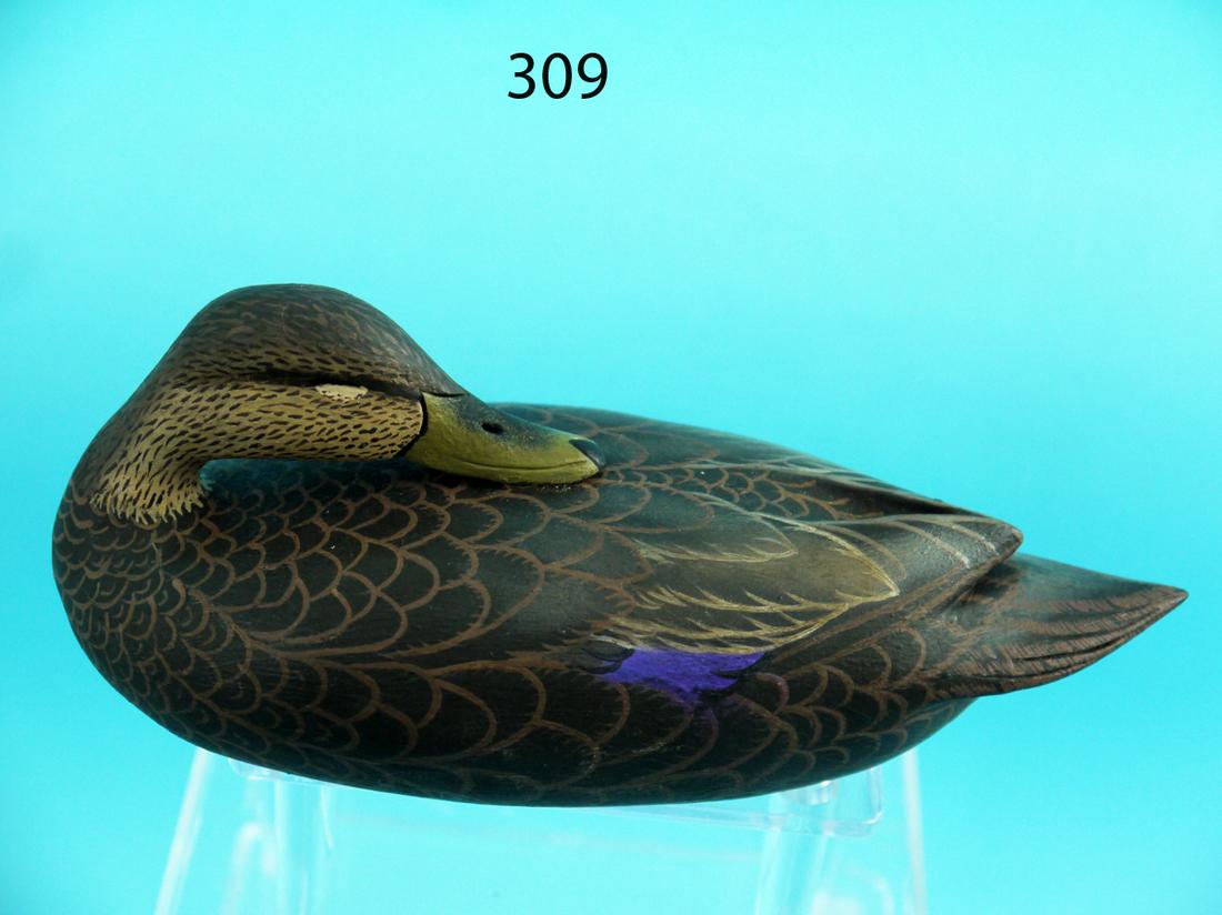 ONE-THIRD SIZE BLACK DUCK, J. Wood, (1 of 4)