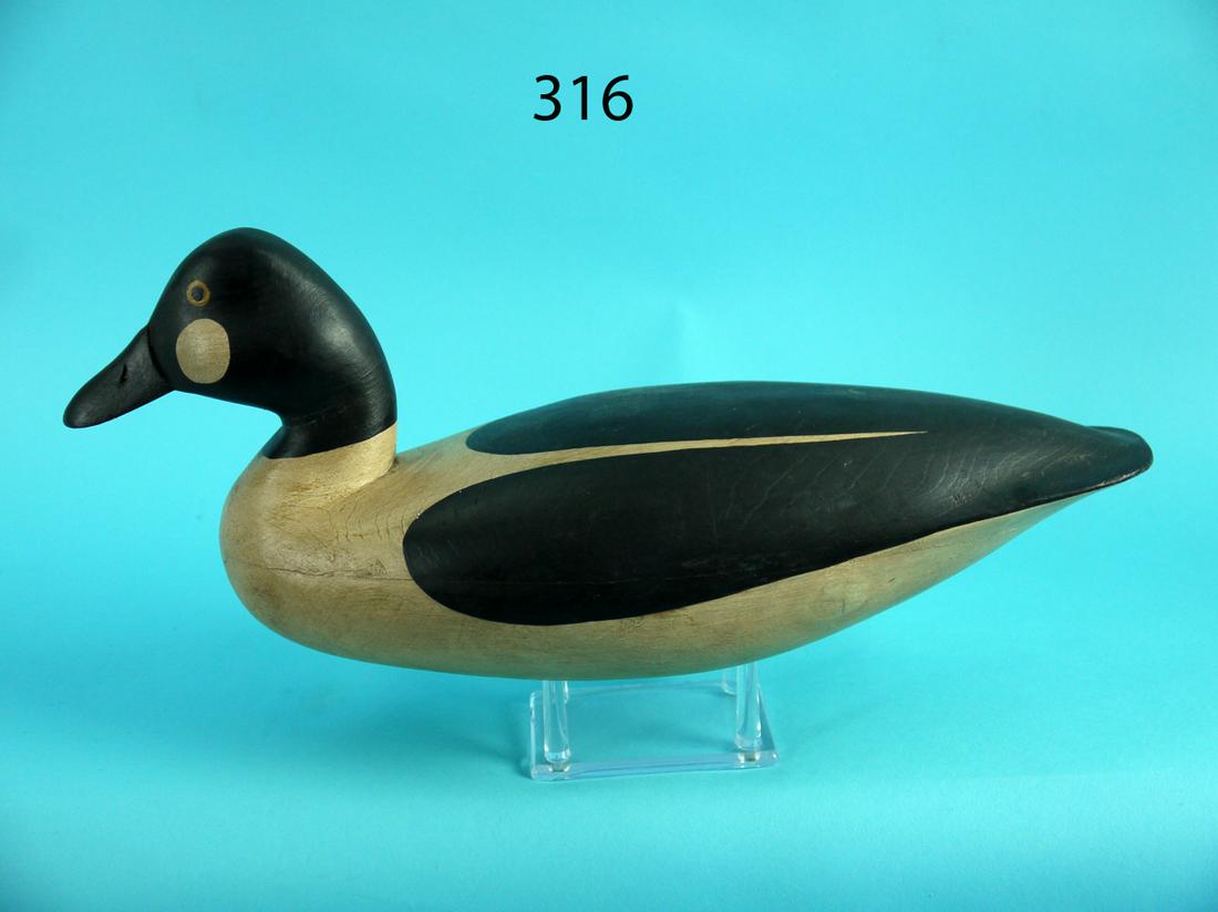 GOLDENEYE DRAKE, F.C. BROWN, JR. (1 of 4)