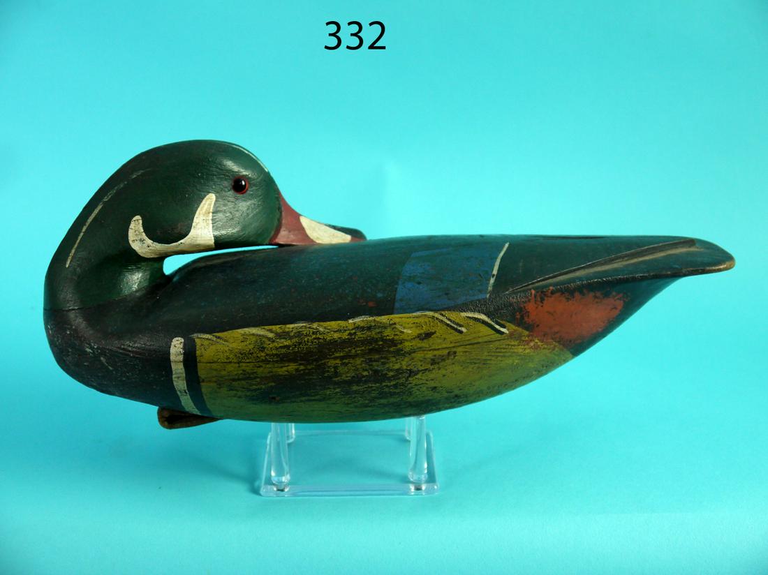 WOOD DUCK DRAKE, BARNEGAT BAY, NJ (1 of 4)