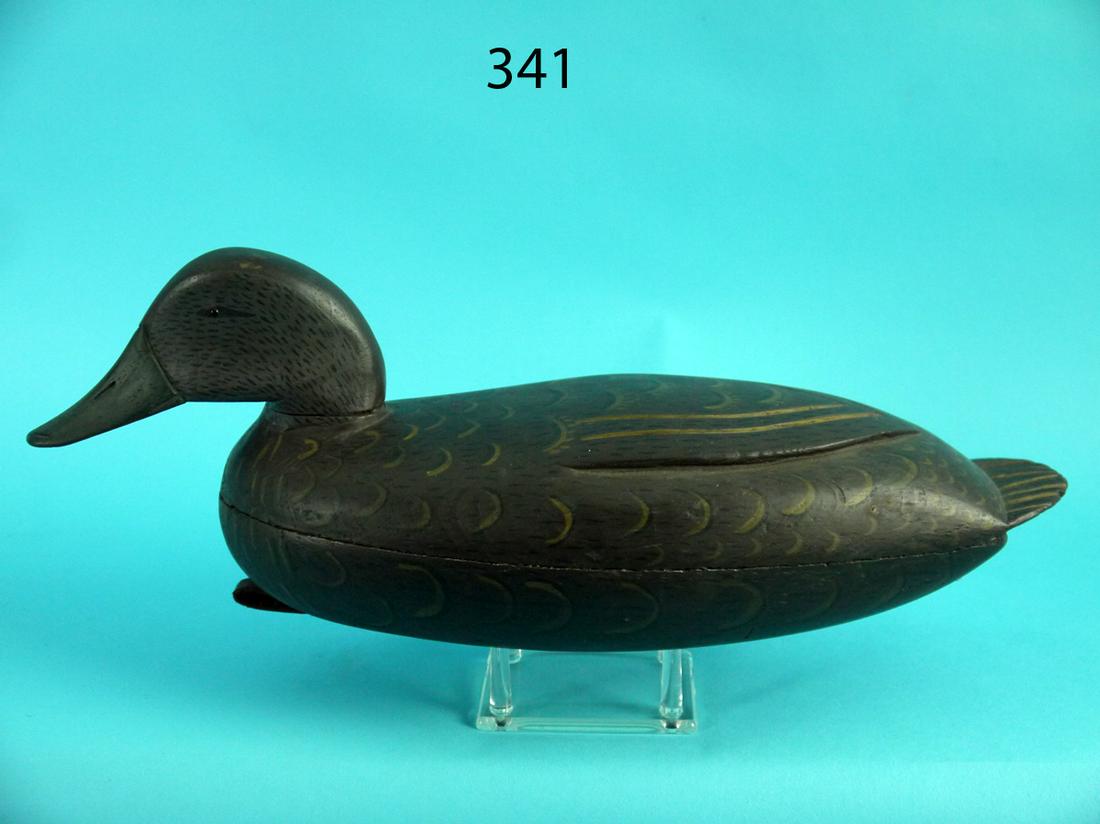 BLACK DUCK, D. DOWNEY (1 of 4)