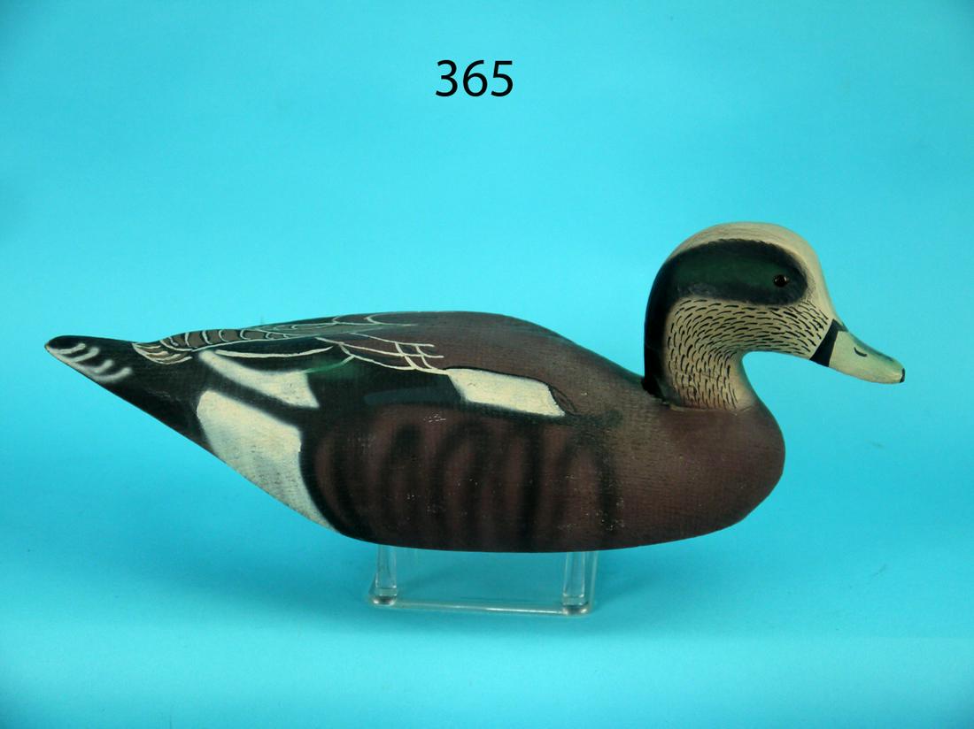 WIDGEON DRAKE, HERTERS (1 of 4)