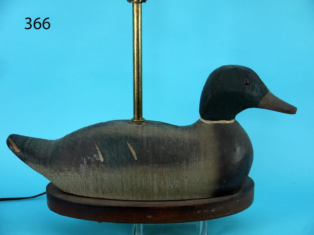MALLARD DRAKE, ANIMAL TRAP (1 of 2)