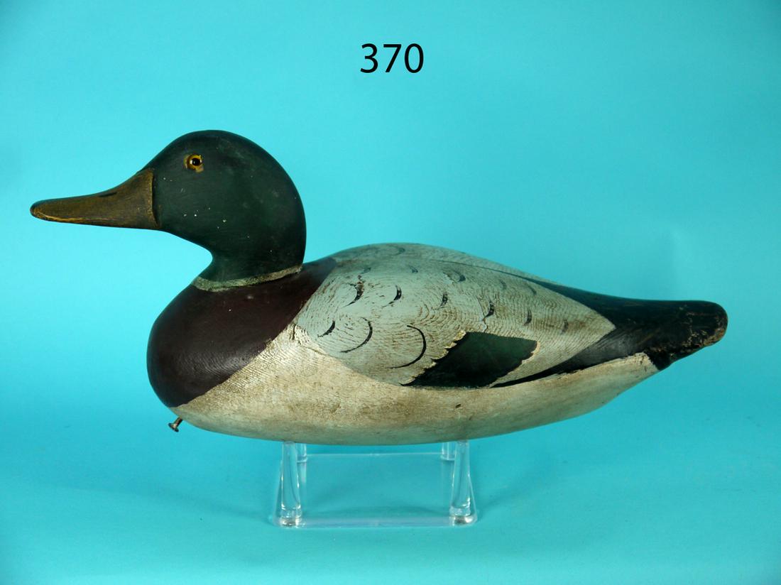 MALLARD DRAKE, DODGE (1 of 4)