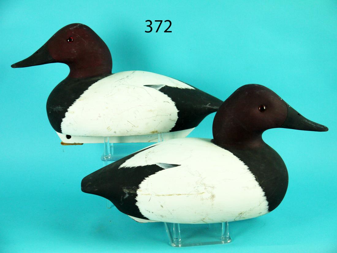 TWO CANVASBACKS DRAKES, DELAWARE RIVER DECOY CO. (1 of 3)