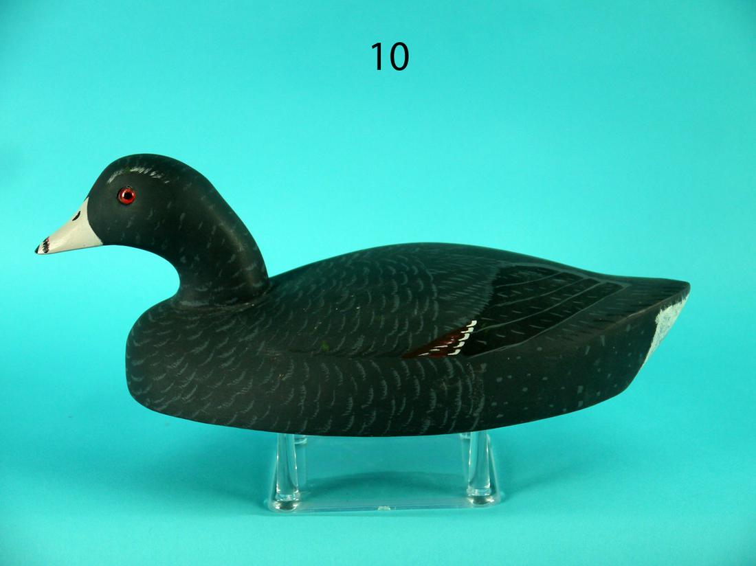COOT, W. KEIM: COOT by William Keim, Neptune, NJ. Special order Wildfowler model in excellent original paint and condition. Detailed feathering overall. Retains glass eyes. Signed W. KEIM under bill. Maker's name on