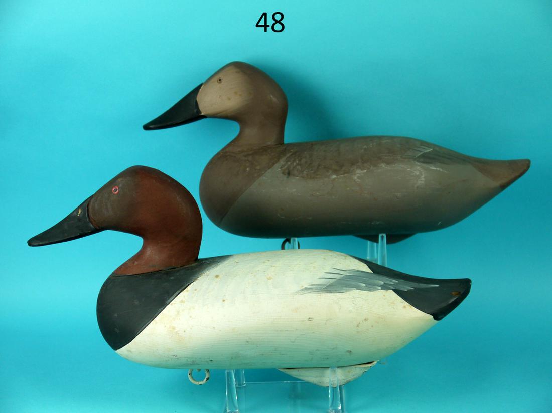 CANVASBACK PAIR, R.M. MITCHELL: FINE PAIR OF CANVASBACKS by R. Madison Mitchell, Havre de Grace, MD. Very good original paint with some minor foxing to drake's back. Very good structural condition. Both appear to be unused. Subtle p