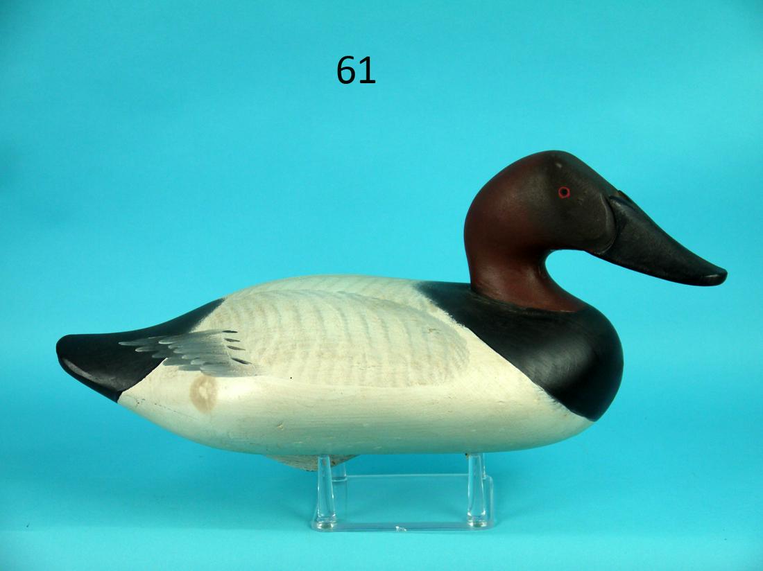 CANVASBACK DRAKE, R.M. MITCHELL: FINE CANVASBACK DRAKE by R. Madison Mitchell, Havre de Grace, MD. Excellent original paint and unused condition. Head turned slightly right. Painted eye detail. Painted feather detail to back. Nice pa