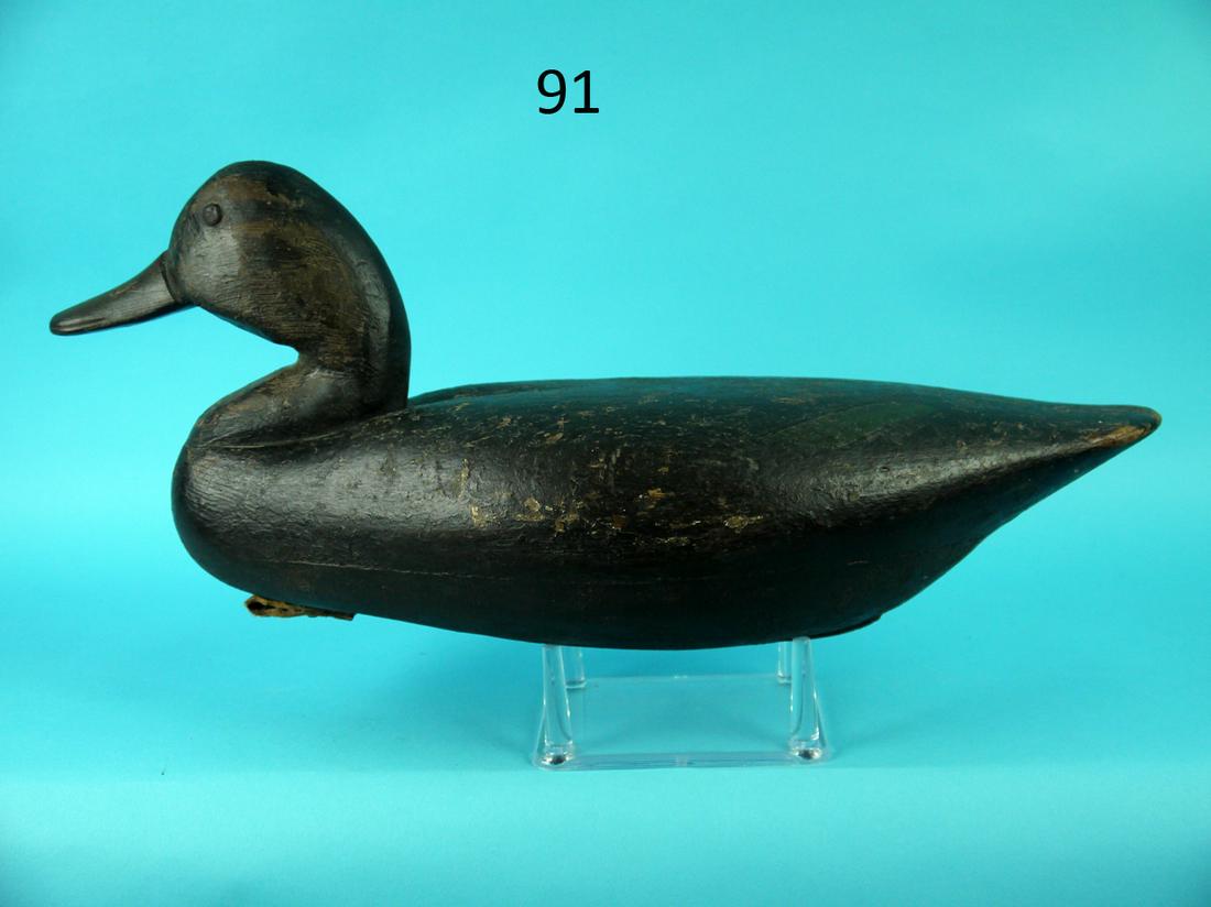 BLACK DUCK, BARNEGAT BAY, NJ: EARLY BLACK DUCK, probably Barnegat Bay, NJ. Very good old working and structural condition. Hollow construction. Pinch-breast and ice groove carving. Retains tack eyes. Some carved bill detail. Head 