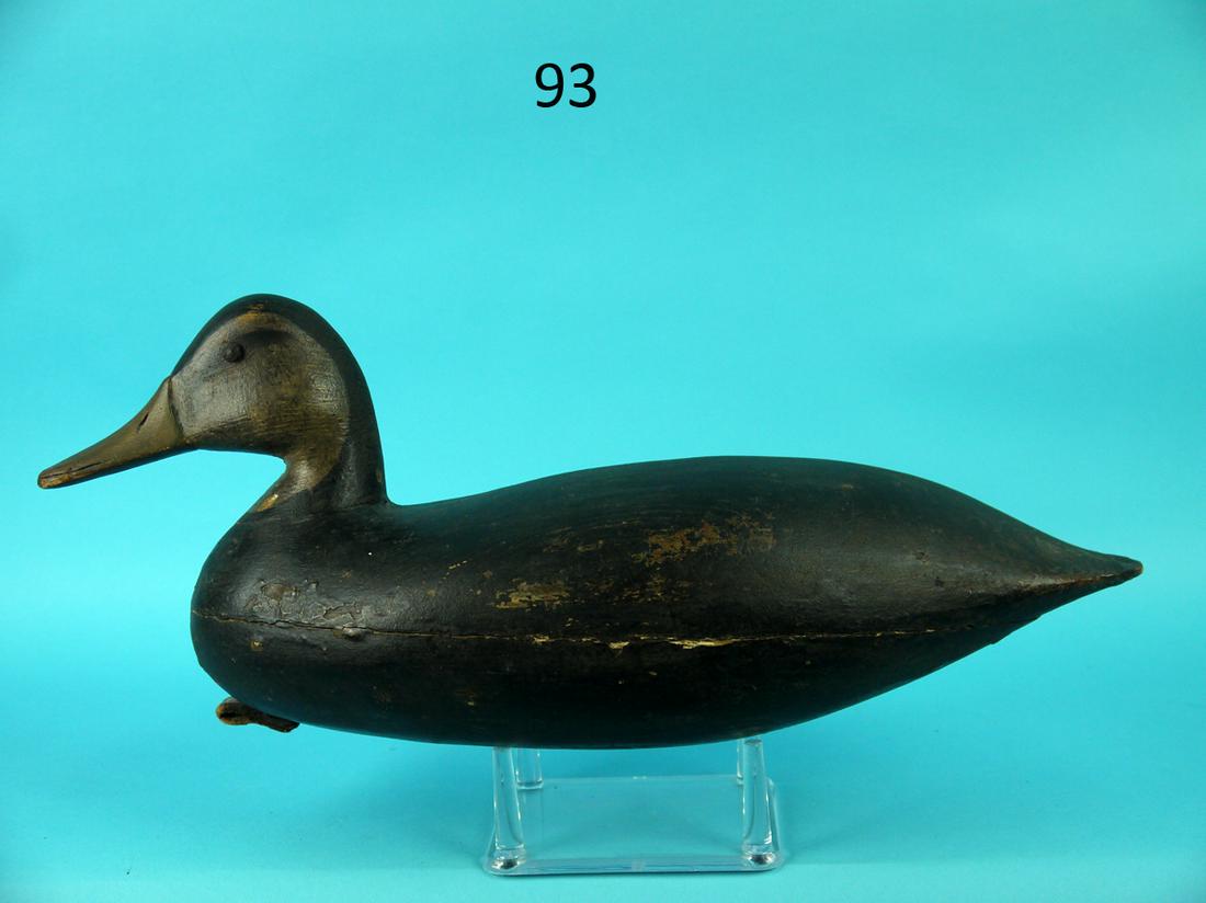 BLACK DUCK, H.M. SHOURDS: FINE BLACK DUCK by Harry M. Shourds, Ocean City, NJ, circa 1930. Very good original paint with touch up in areas. Some very minor paint loss and flaking in areas. Retains tack eyes and carved bill. de