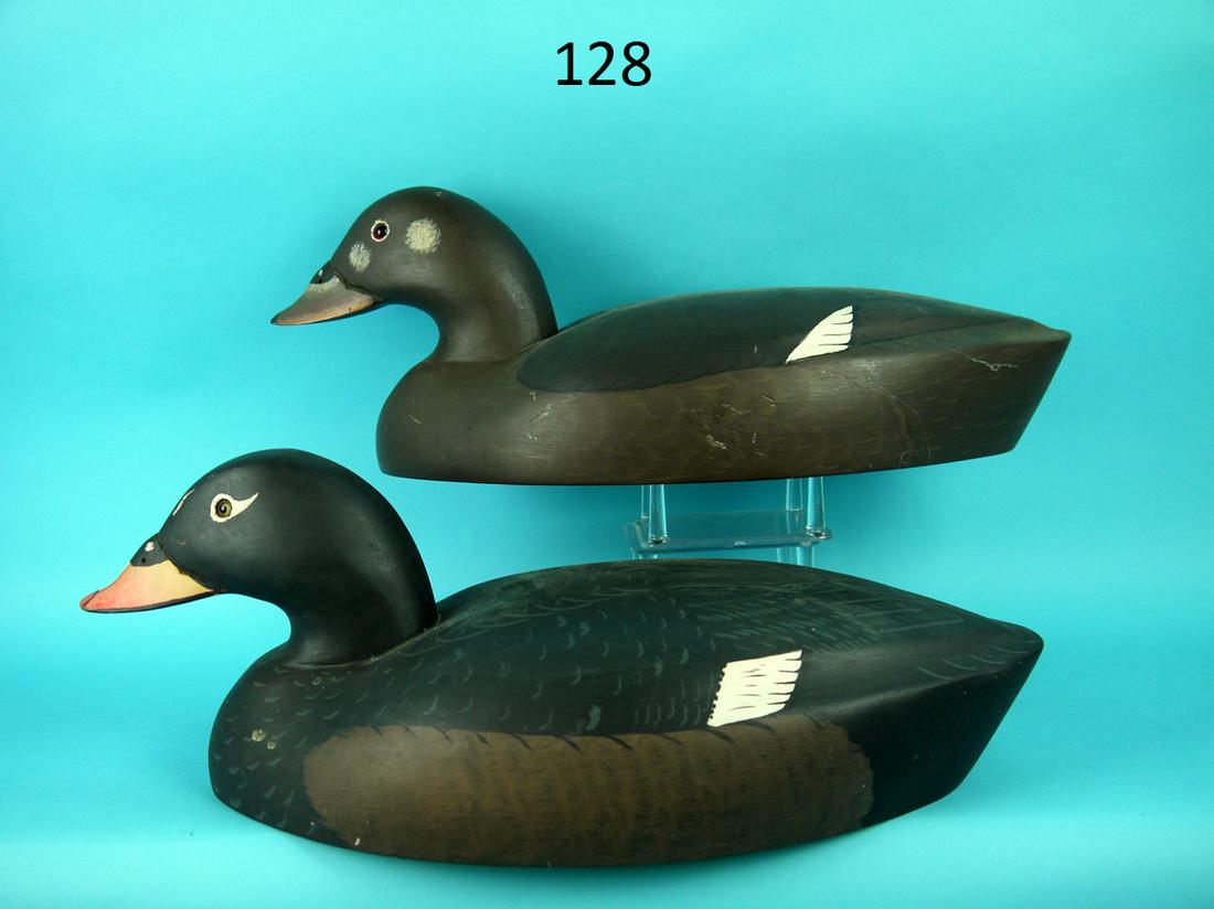 RARE WHITE WING SCOTER PAIR, WILDFOWLER: FINE AND RARE WHITE WING SCOTER PAIR by the Wildfowler Decoy Company, Pt. Pleasant, NJ. True pair in excellent original paint and condition. Fine detailed painted wing pattern and feathering to both. 