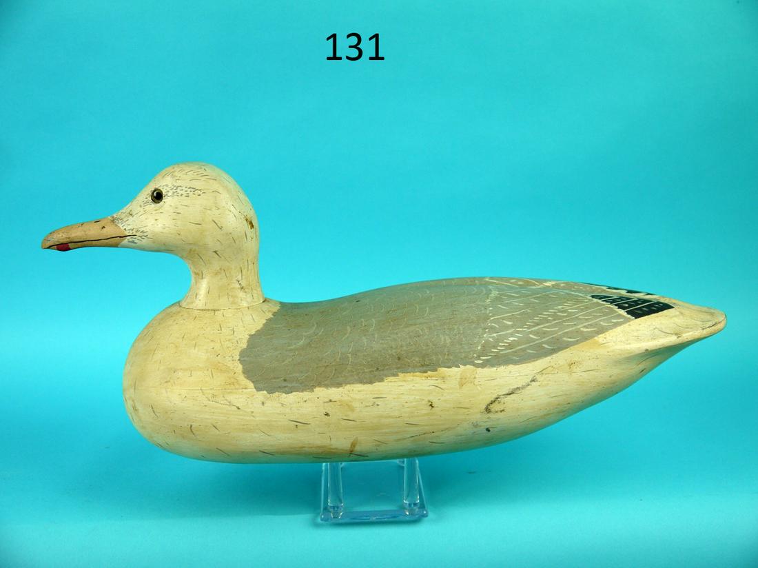 GRAY BACK GULL, WILDFOWLER: GRAY BACK GULL by the Wildfowler Decoy Company, Pt. Pleasant, NJ. Very good original paint and condition. Some minor scuffs overall. Raised wing detail to rear back. Retains glass eyes. Hollow Pitman