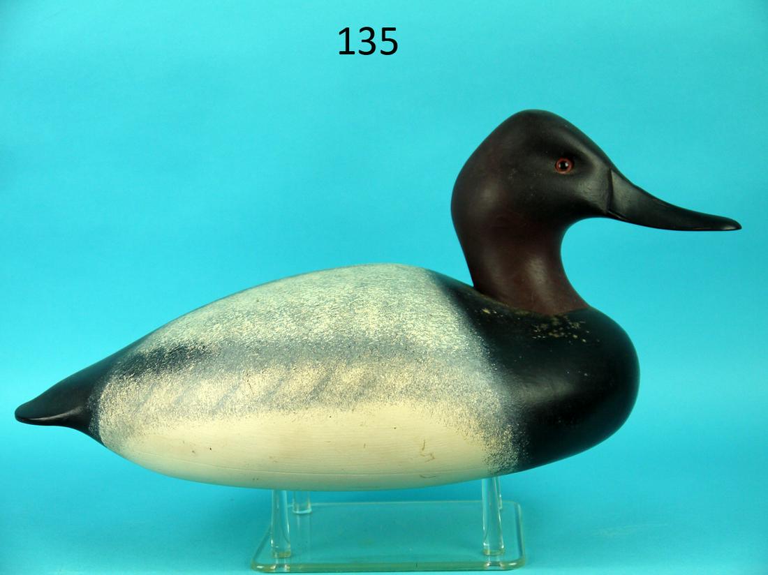 CANVASBACK DRAKE, C.BIRDSALL: CANVASBACK DRAKE carved in the manner of the Ward Bros. Excellent original paint and condition. Hollow construction. Stipple paint to back and sides. Head turned right. Nice carved bill detail. Notati