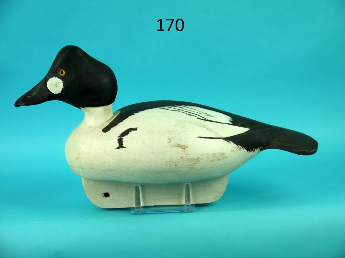 GOLDENEYE DRAKE, CRISFIELD, MD: FINE GOLDENEYE DRAKE from the Crisfield, MD, area. Excellent original paint and unused condition. Carved in the style of the L.T.Ward Bros. Fine detailed carving to bill. Solid construction. Broad tai
