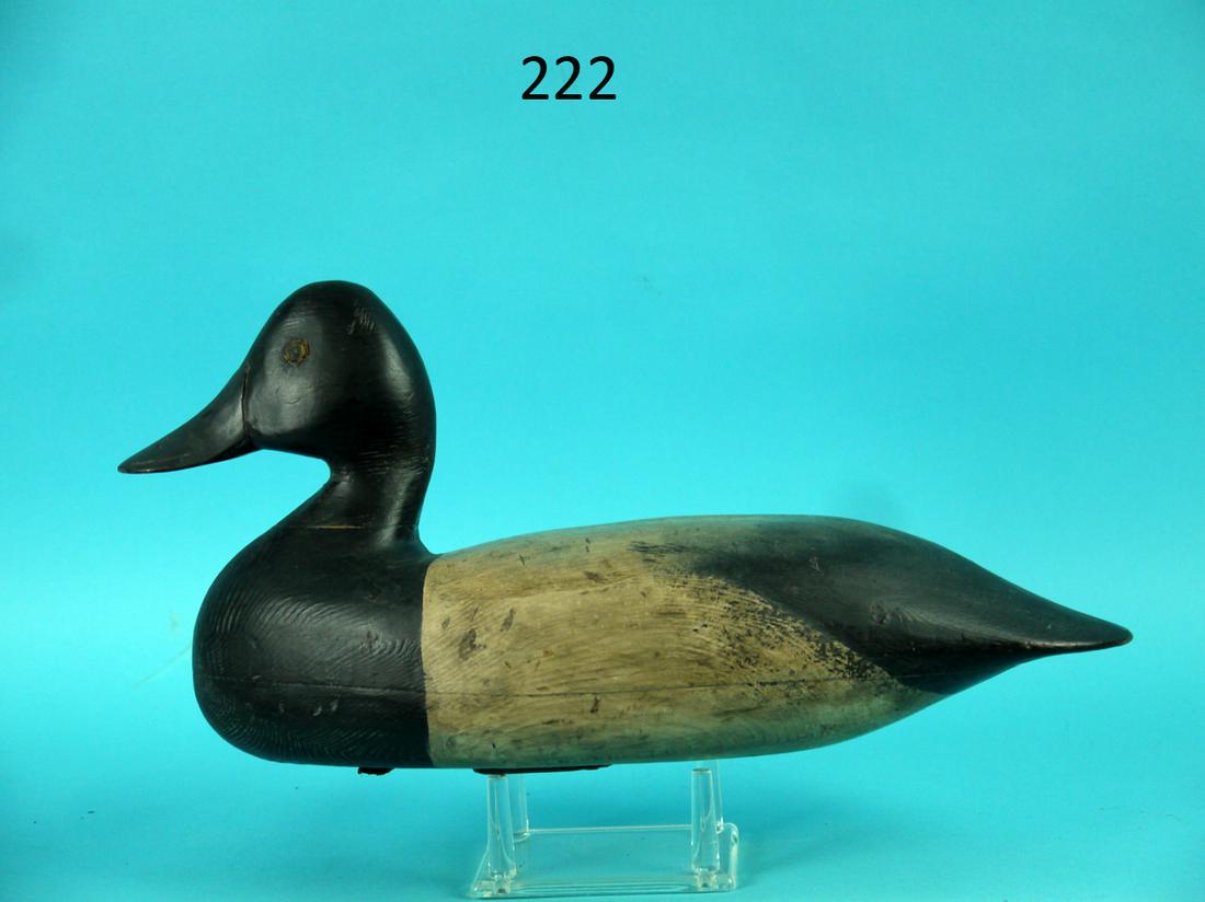 BROADBILL DRAKE, C. SPRAGUE ATTRIB.: BROADBILL DRAKE attributed to Chris Sprague, Beach Haven, NJ. Paint possibly original with touch up to head and chest. Good structural condition. Hollow construction. Retains pad weight and rigging. O