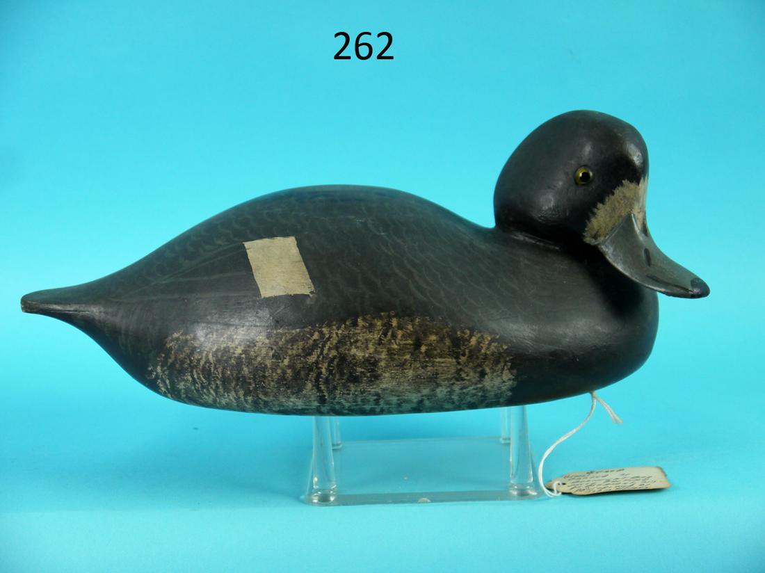 BLUEBILL HEN, BARNEGAT BAY DECOYS (0262) on Jun 26, 2022 Frank and