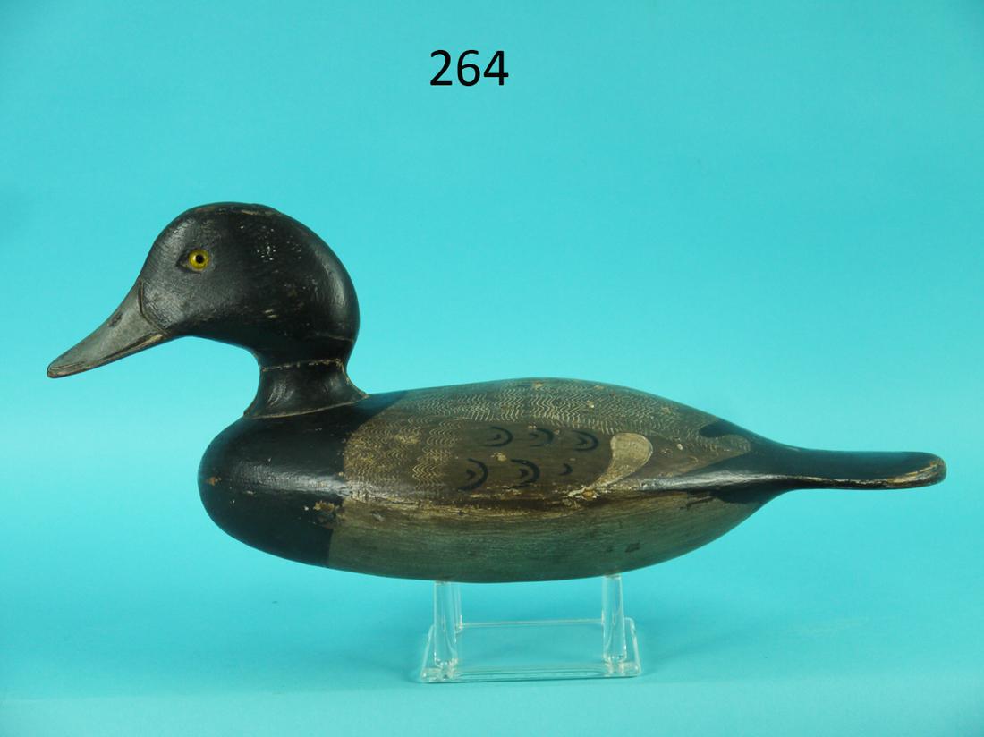 BLUEBILL DRAKE, STEVENS FACTORY: EARLY BLUEBILL DRAKE by the H.A. Stevens Decoy Co., Weedsport, NY, circa 1880-1900. Elongated body model that appears to retain original factory paint with some very minor paint flaking and rubs. Good